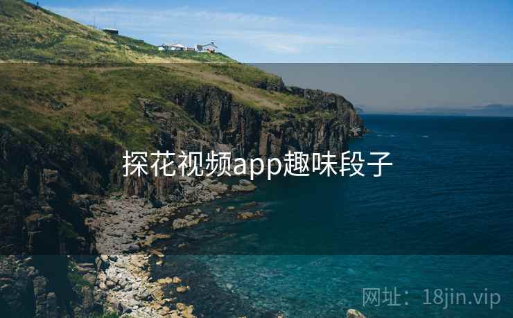 探花视频app趣味段子