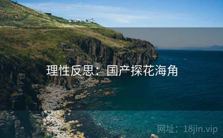 理性反思：国产探花海角