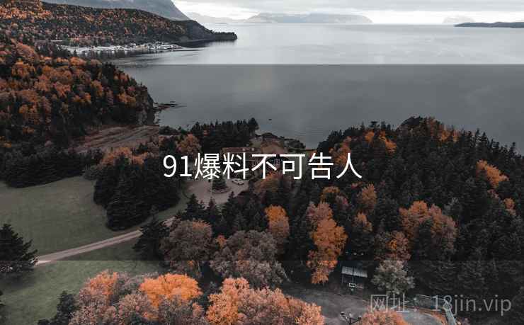 91爆料不可告人