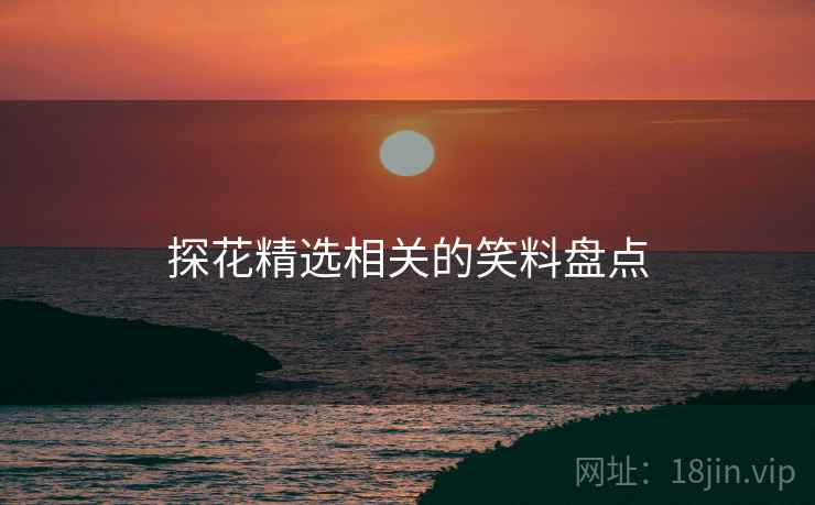 探花精选相关的笑料盘点