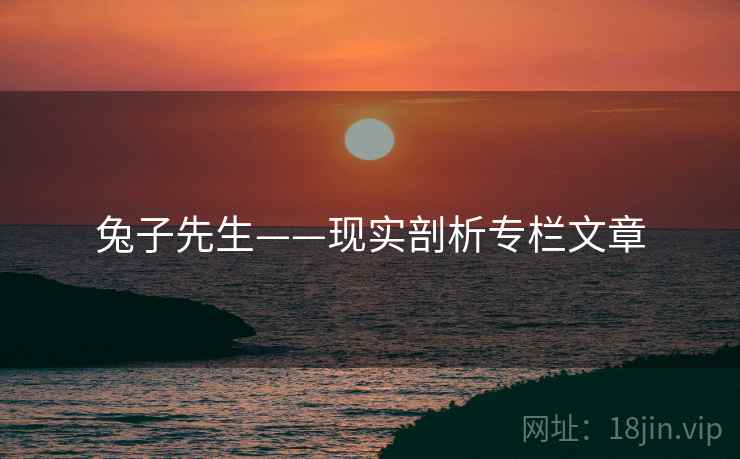 兔子先生——现实剖析专栏文章