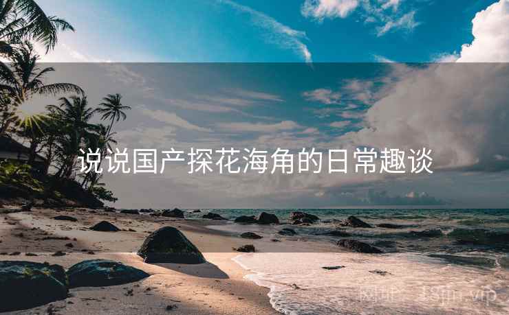 说说国产探花海角的日常趣谈