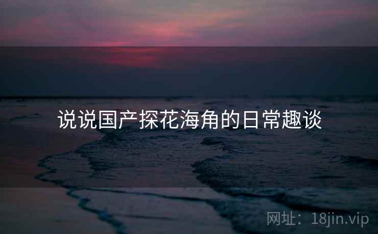 说说国产探花海角的日常趣谈