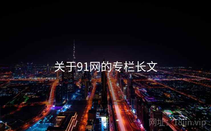 关于91网的专栏长文