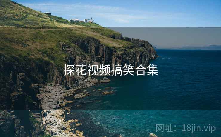探花视频搞笑合集