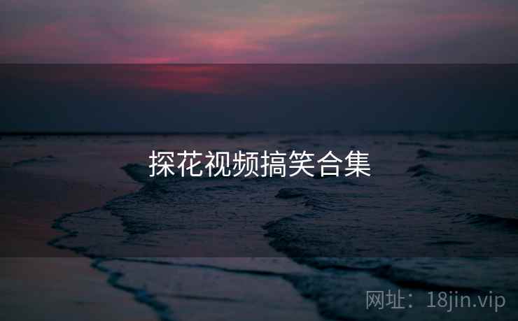 探花视频搞笑合集