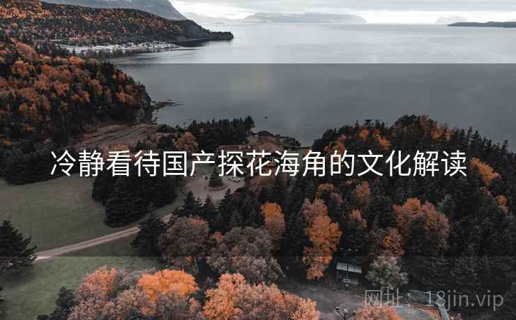 冷静看待国产探花海角的文化解读