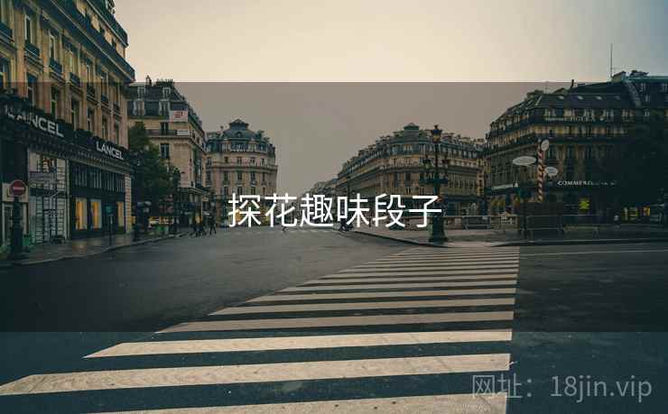探花趣味段子