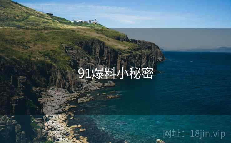 91爆料小秘密