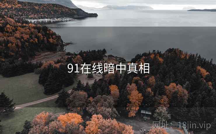 91在线暗中真相