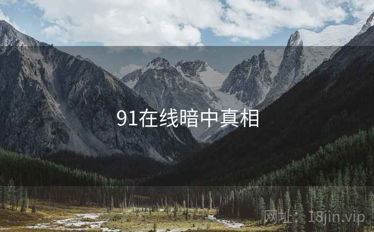 91在线暗中真相