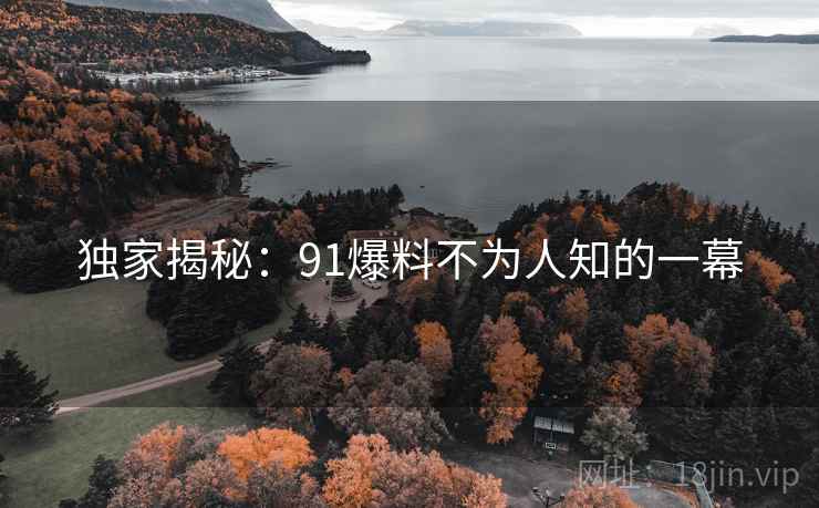 独家揭秘:91爆料不为人知的一幕