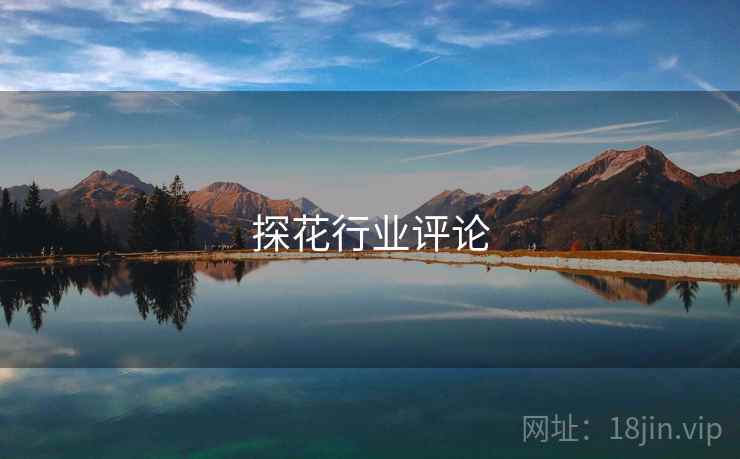 探花行业评论