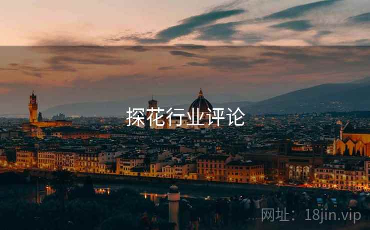 探花行业评论