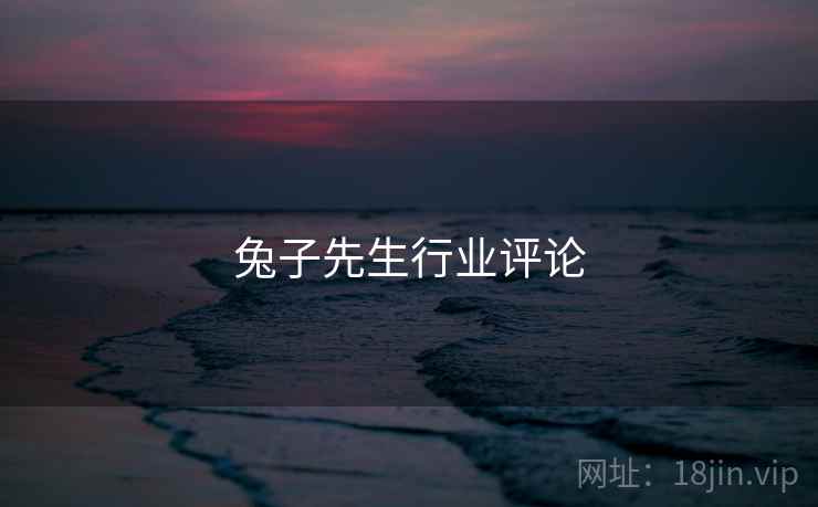 兔子先生行业评论  第1张 兔子先生行业评论  第1张