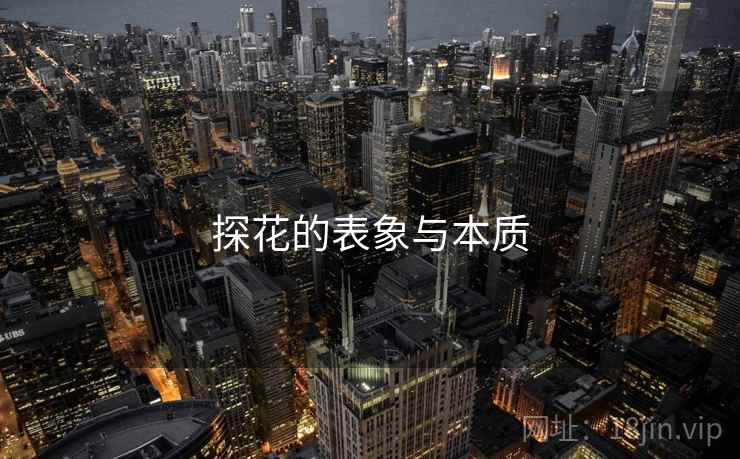 探花的表象与本质