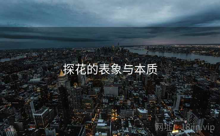探花的表象与本质