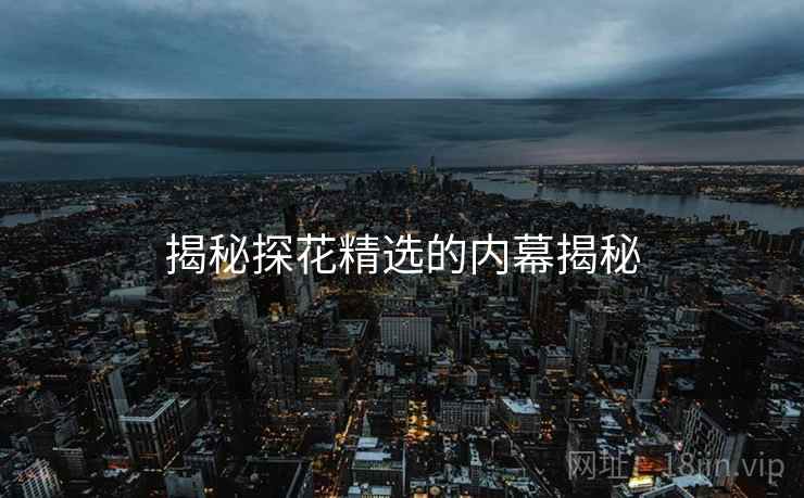 揭秘探花精选的内幕揭秘