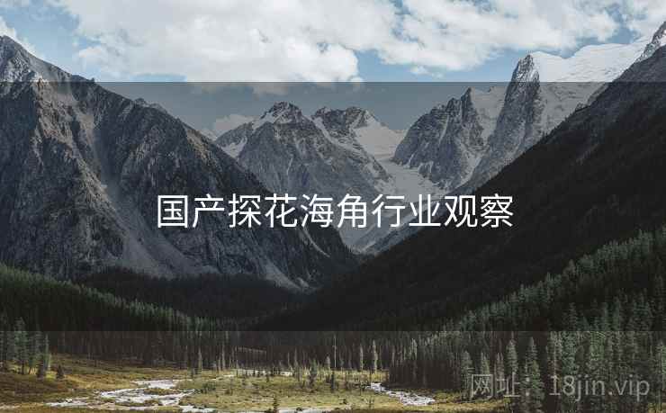 国产探花海角行业观察