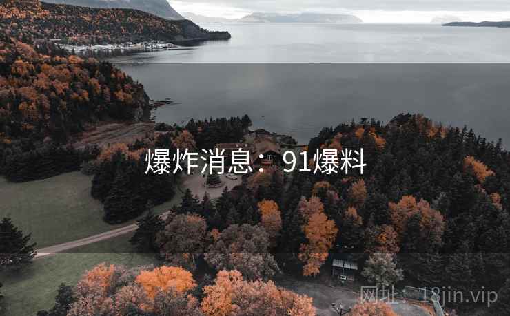 爆炸消息:91爆料