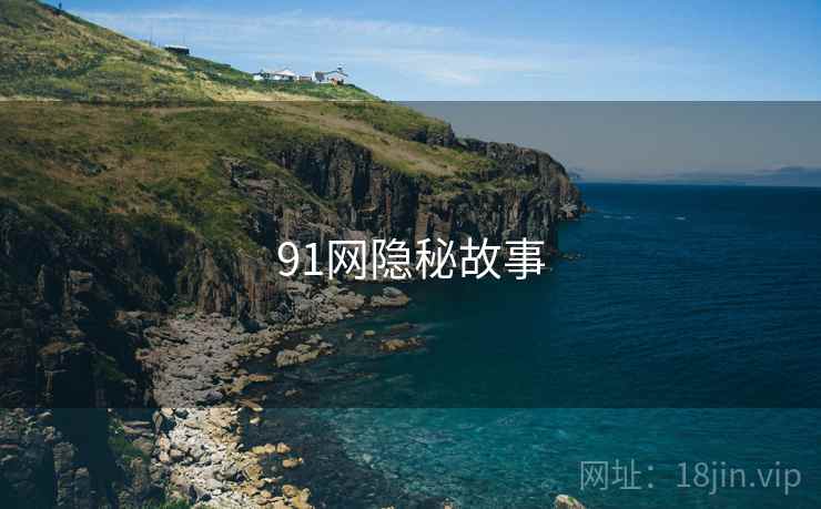 91网隐秘故事