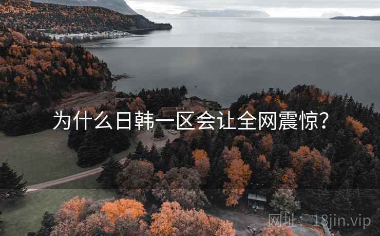 为什么日韩一区会让全网震惊？