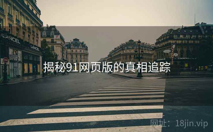 揭秘91网页版的真相追踪