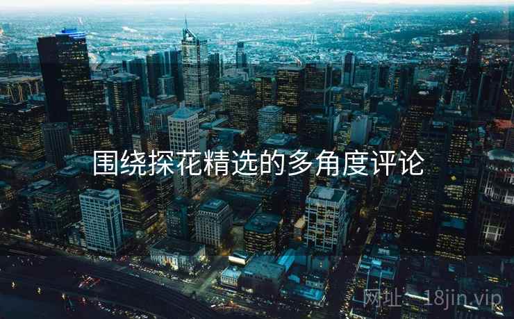 围绕探花精选的多角度评论