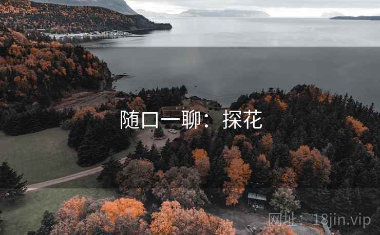 随口一聊:探花