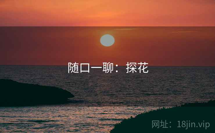 随口一聊:探花