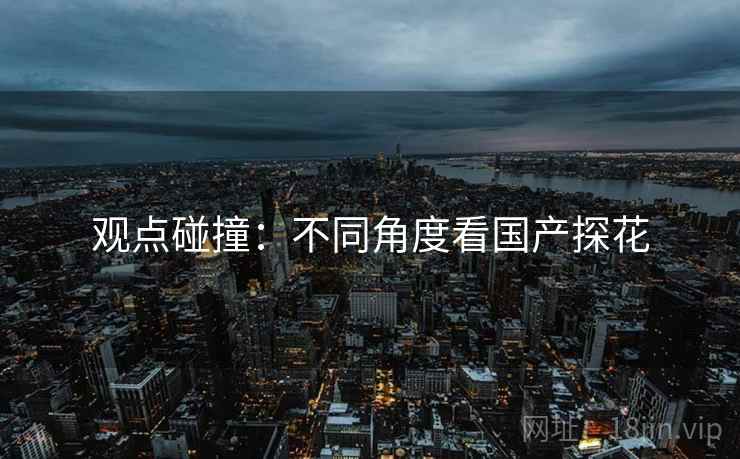 观点碰撞:不同角度看国产探花