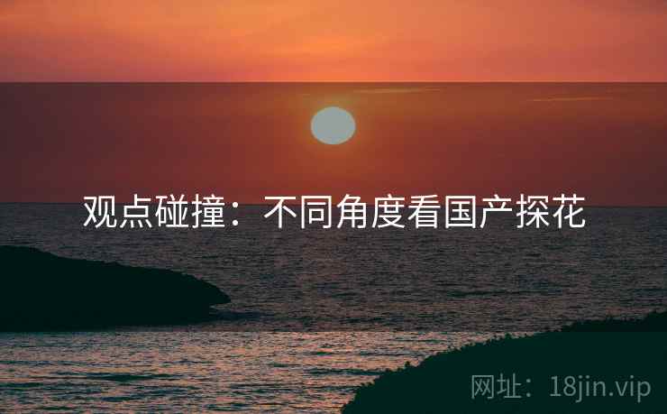 观点碰撞:不同角度看国产探花