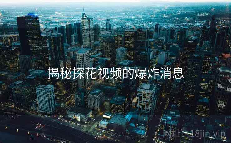 揭秘探花视频的爆炸消息