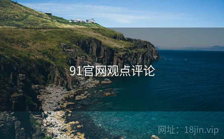 91官网观点评论