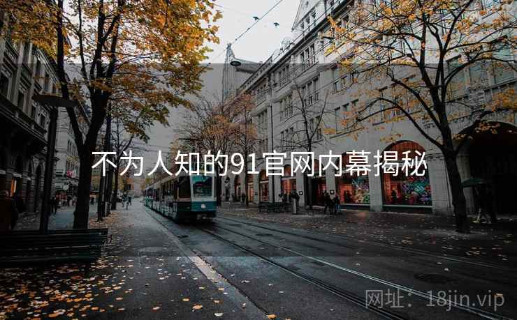 不为人知的91官网内幕揭秘