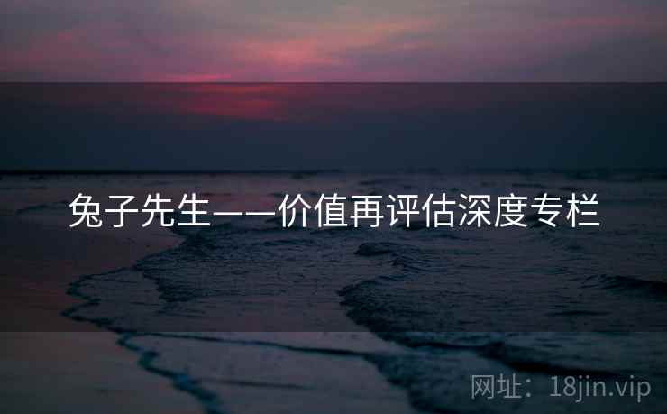 兔子先生——价值再评估深度专栏