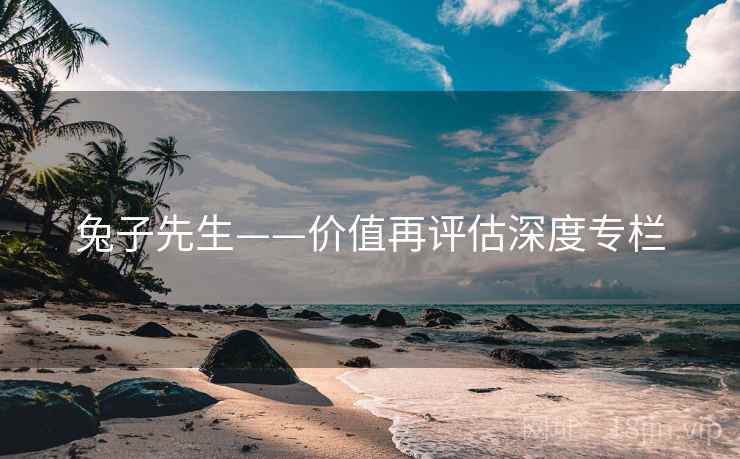 兔子先生——价值再评估深度专栏