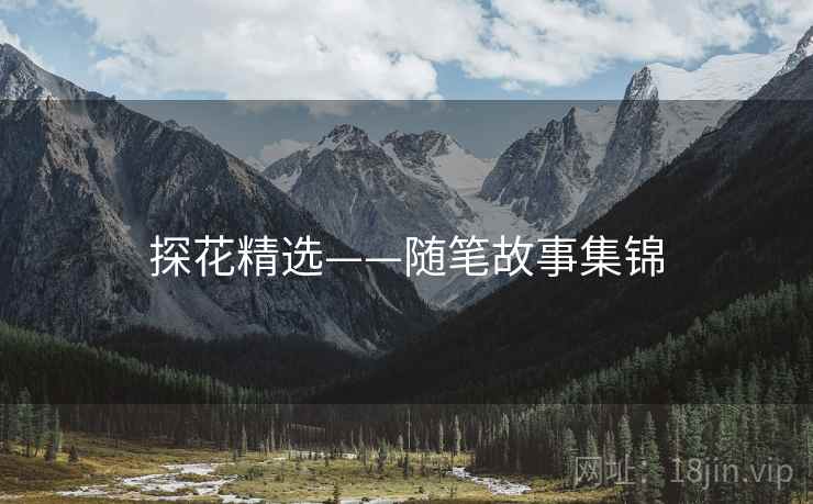 探花精选——随笔故事集锦