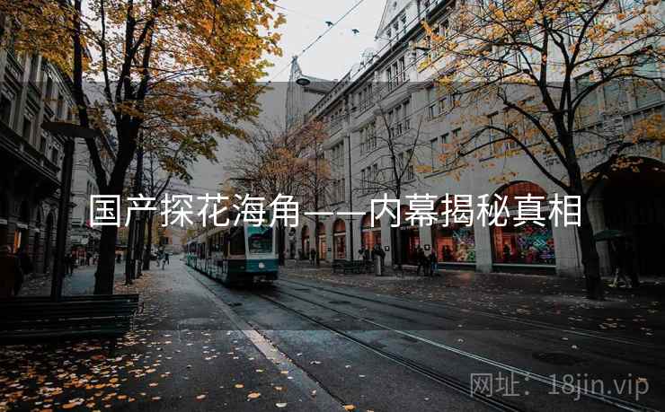国产探花海角——内幕揭秘真相