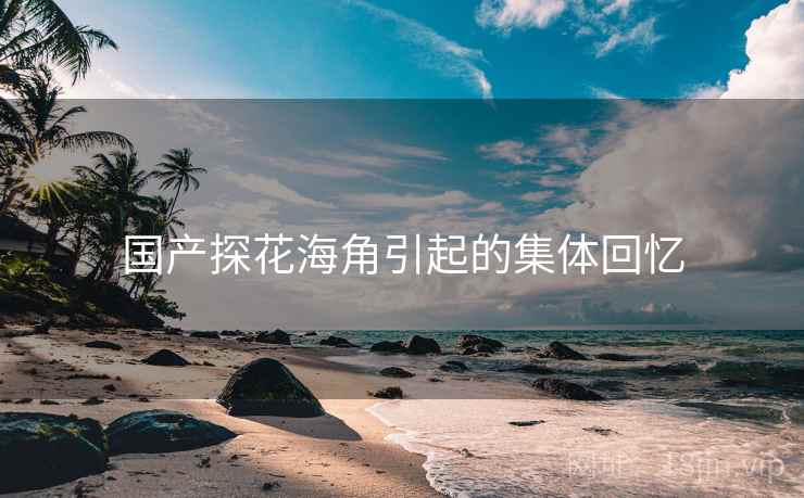 国产探花海角引起的集体回忆